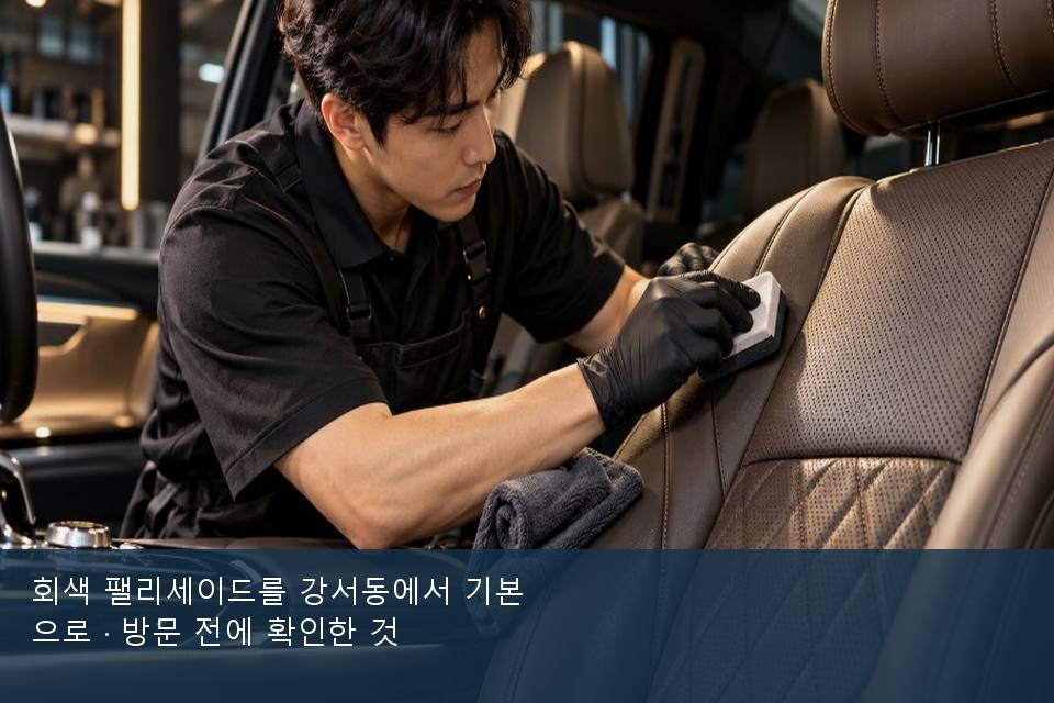 회색 팰리세이드를 강서동에서 기본으로 · 방문 전에 확인한 것